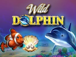 Wild Dolphin game cover