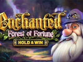 Enchanted Forest Of Fortune